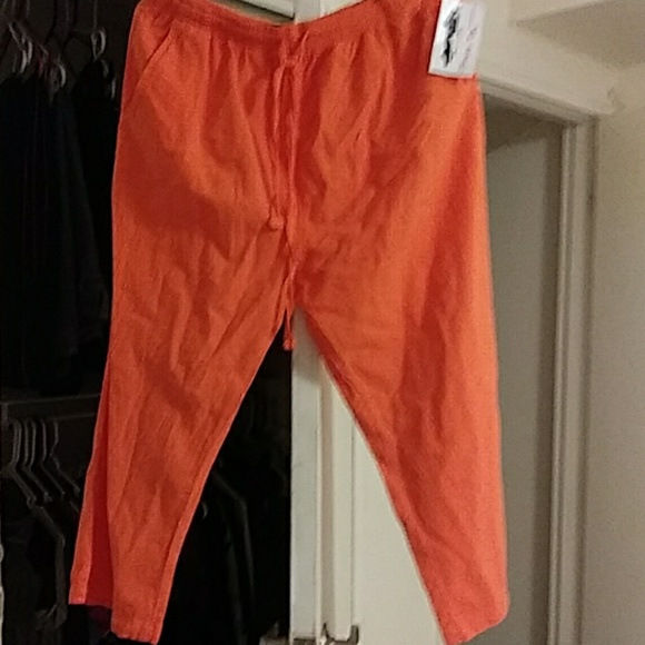 Capis - Picture 2 of 3